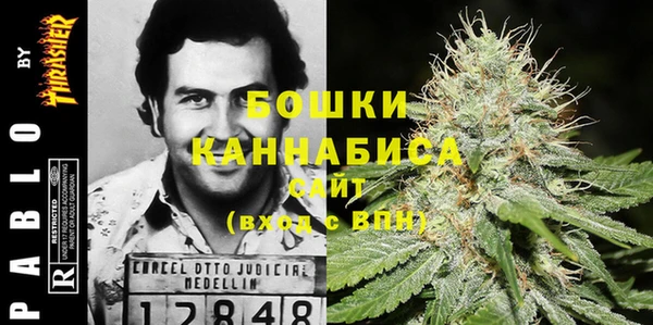 гашик Красноперекопск