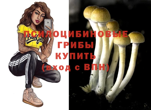 меф Коряжма