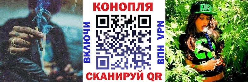 Купить где  Владимир  Канабис гибрид 